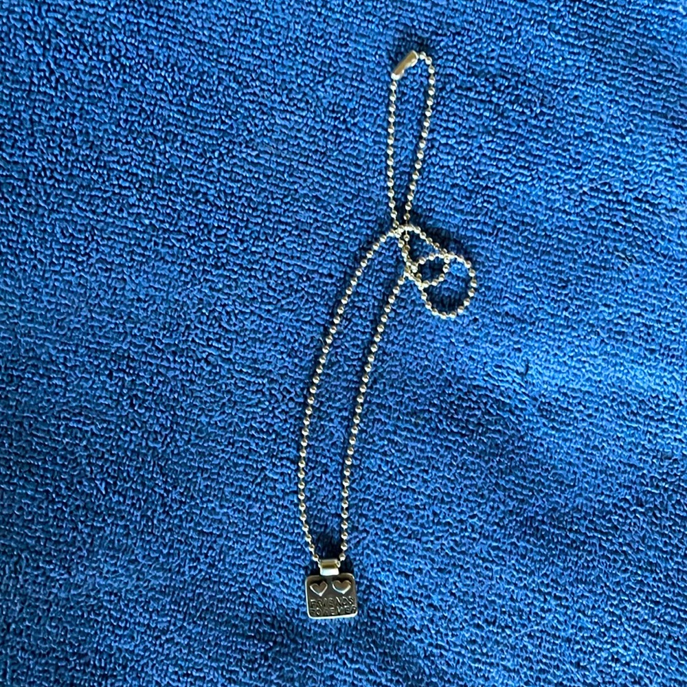 'Friends Forever' Double Heart embossed SS Pendant and 16" SS Necklace.